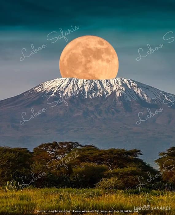 Climbing Mount Kilimanjaro