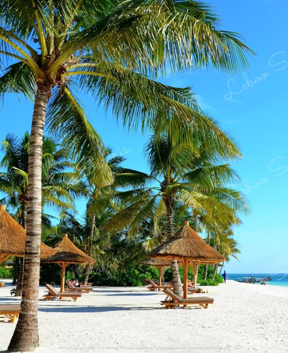 Classic Safari and the Misterious Zanzibar