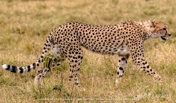 The Magic of Southern Tanzania
