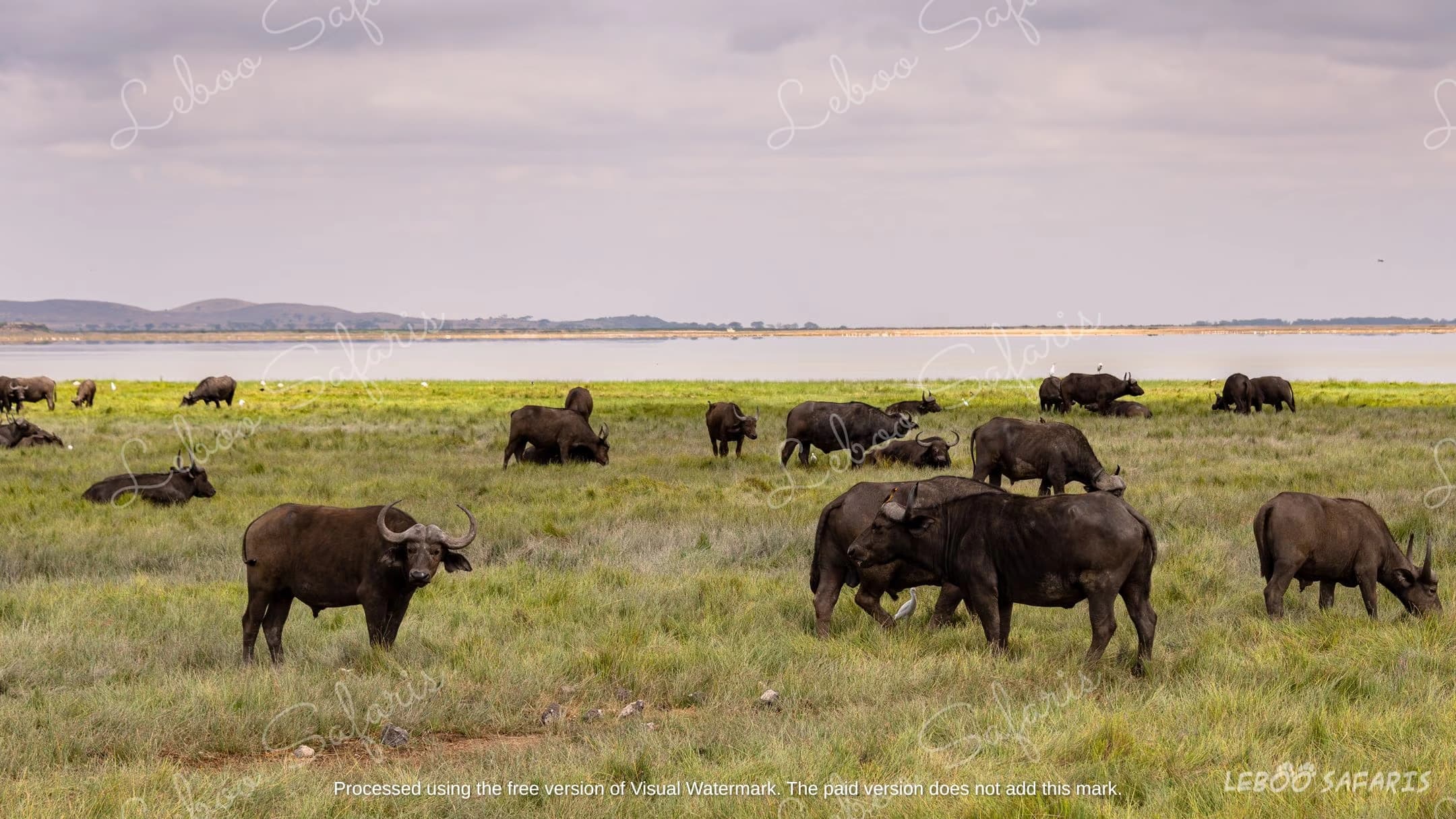 The Magic of Southern Tanzania