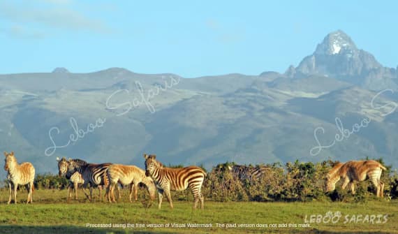Climbing Mount Kenya