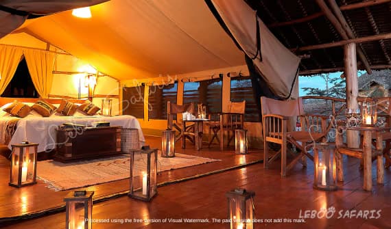 Honeymoon Safari