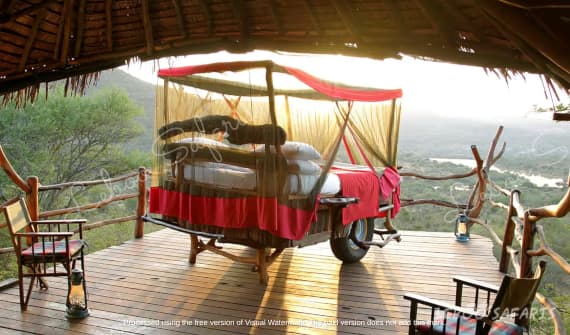 Honeymoon Safari