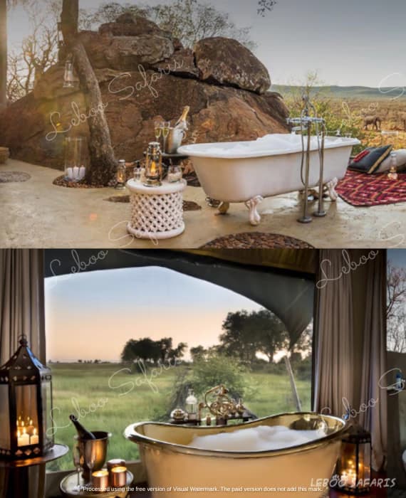 The Great Safari