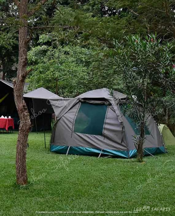 Safari Adventure Camping in Kenya