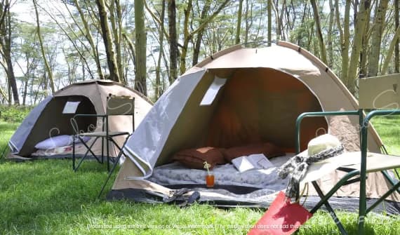 Safari Adventure Camping in Kenya