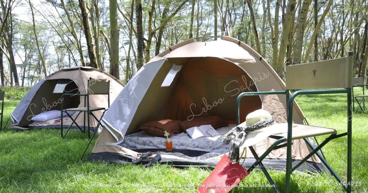 Safari Adventure Camping in Kenya