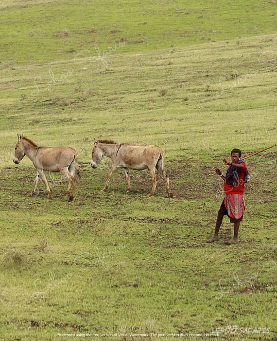 Maasai Safari Trek in Kenya