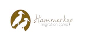 Hammerkop Migration Camp