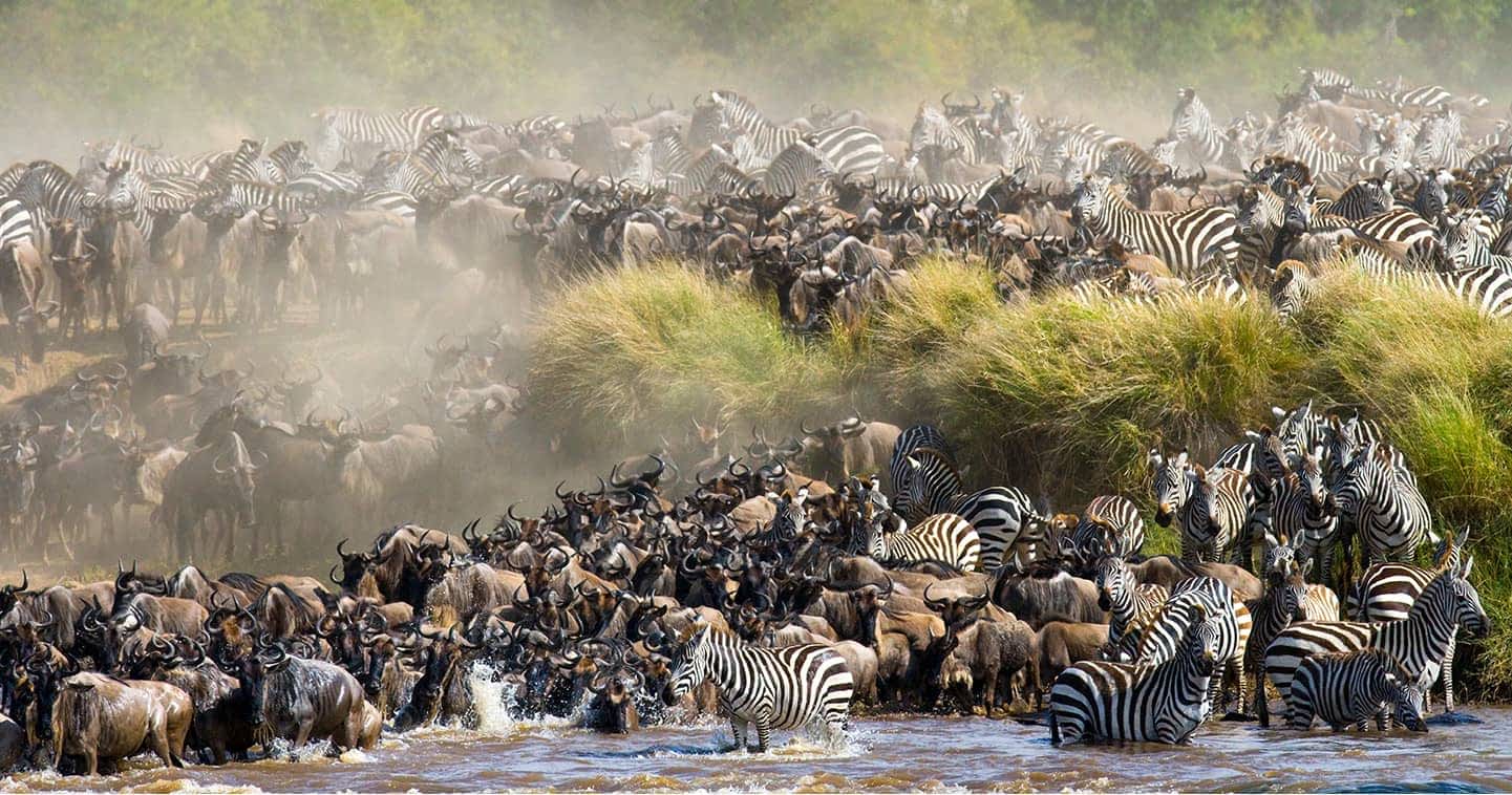 Why Choose Kenya